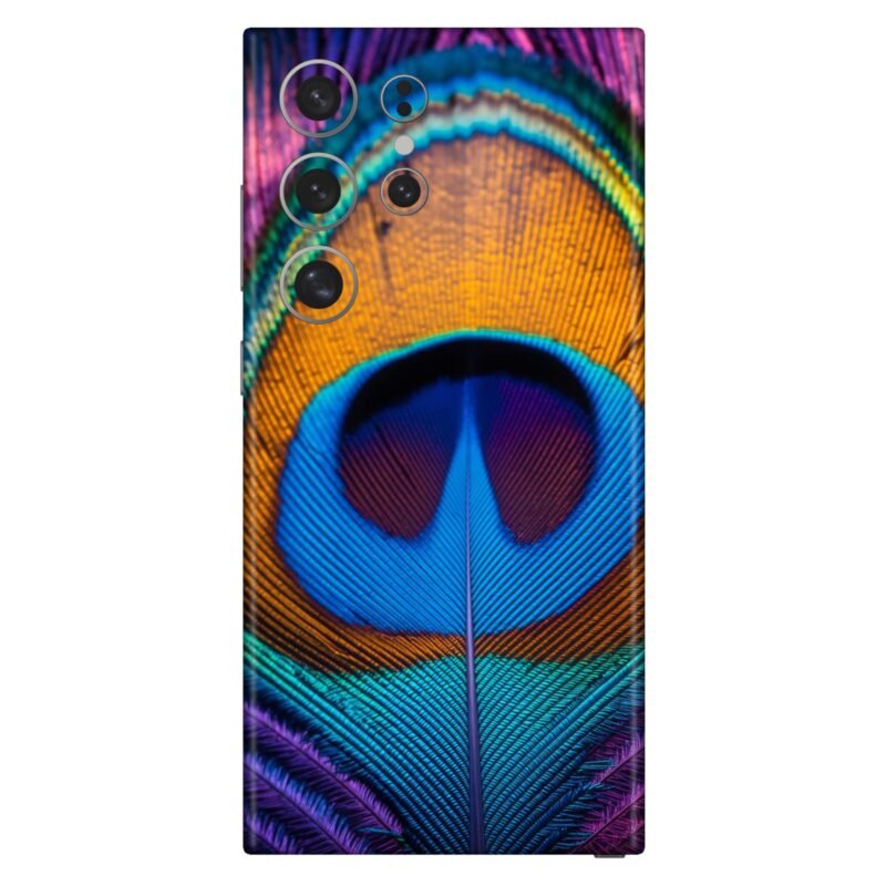 Peacock Feather Design