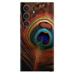 Vibrant Peacock Feather